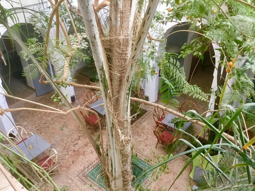 Dar Binebine Hotel Marrakesh Buitenkant foto