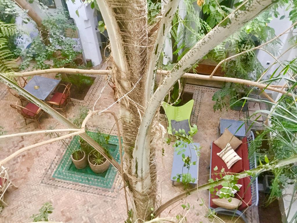 Dar Binebine Hotel Marrakesh Buitenkant foto